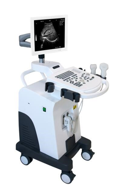 Digital Ultrasound Scanner B/W